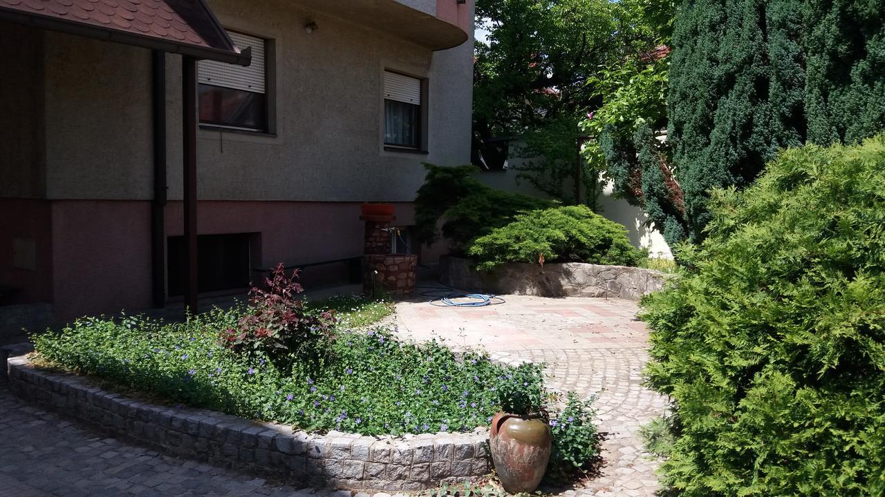 Guest House Stefanovic ヴラニェ エクステリア 写真