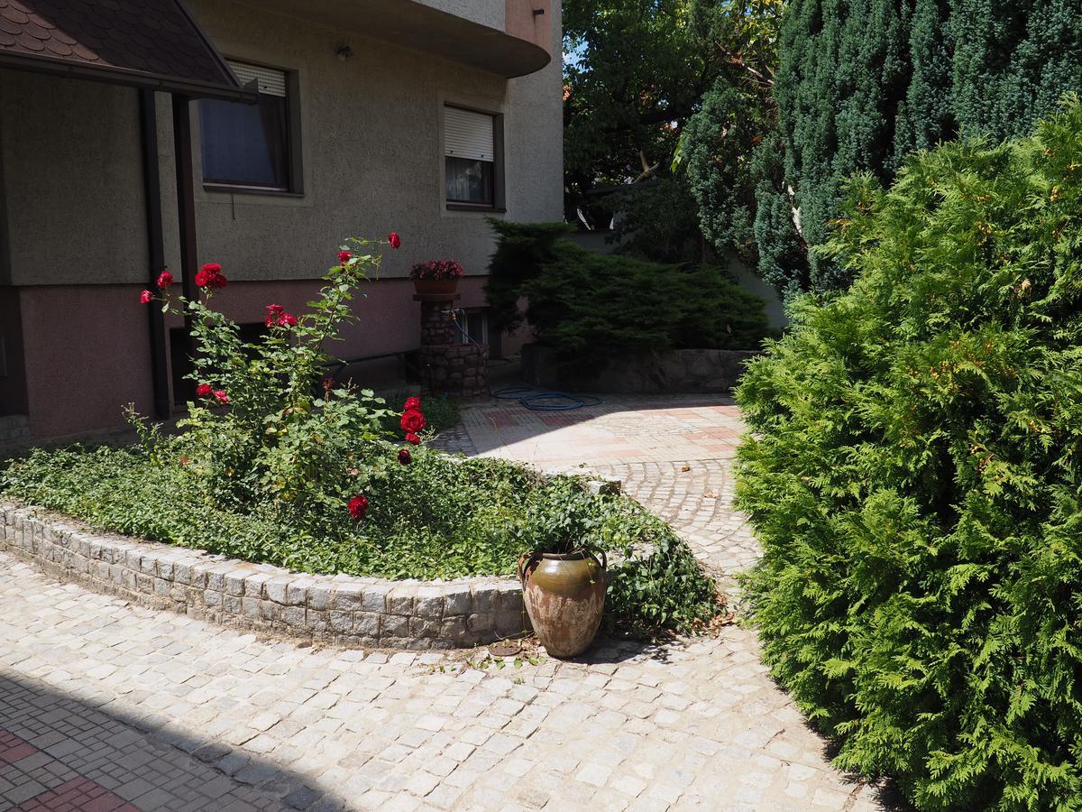 Guest House Stefanovic ヴラニェ エクステリア 写真