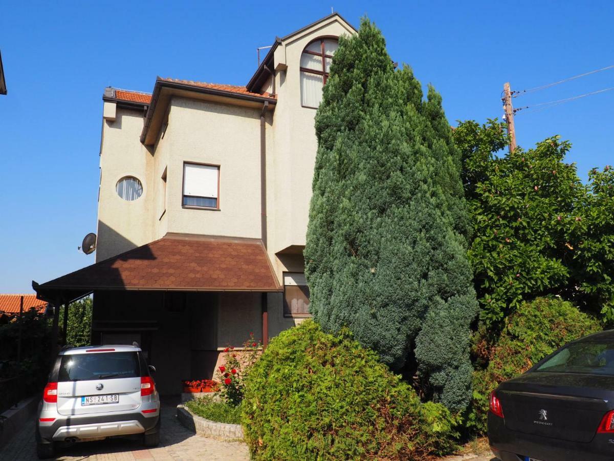 Guest House Stefanovic ヴラニェ エクステリア 写真