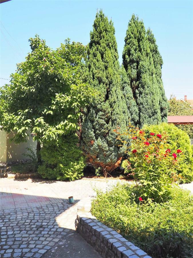 Guest House Stefanovic ヴラニェ エクステリア 写真