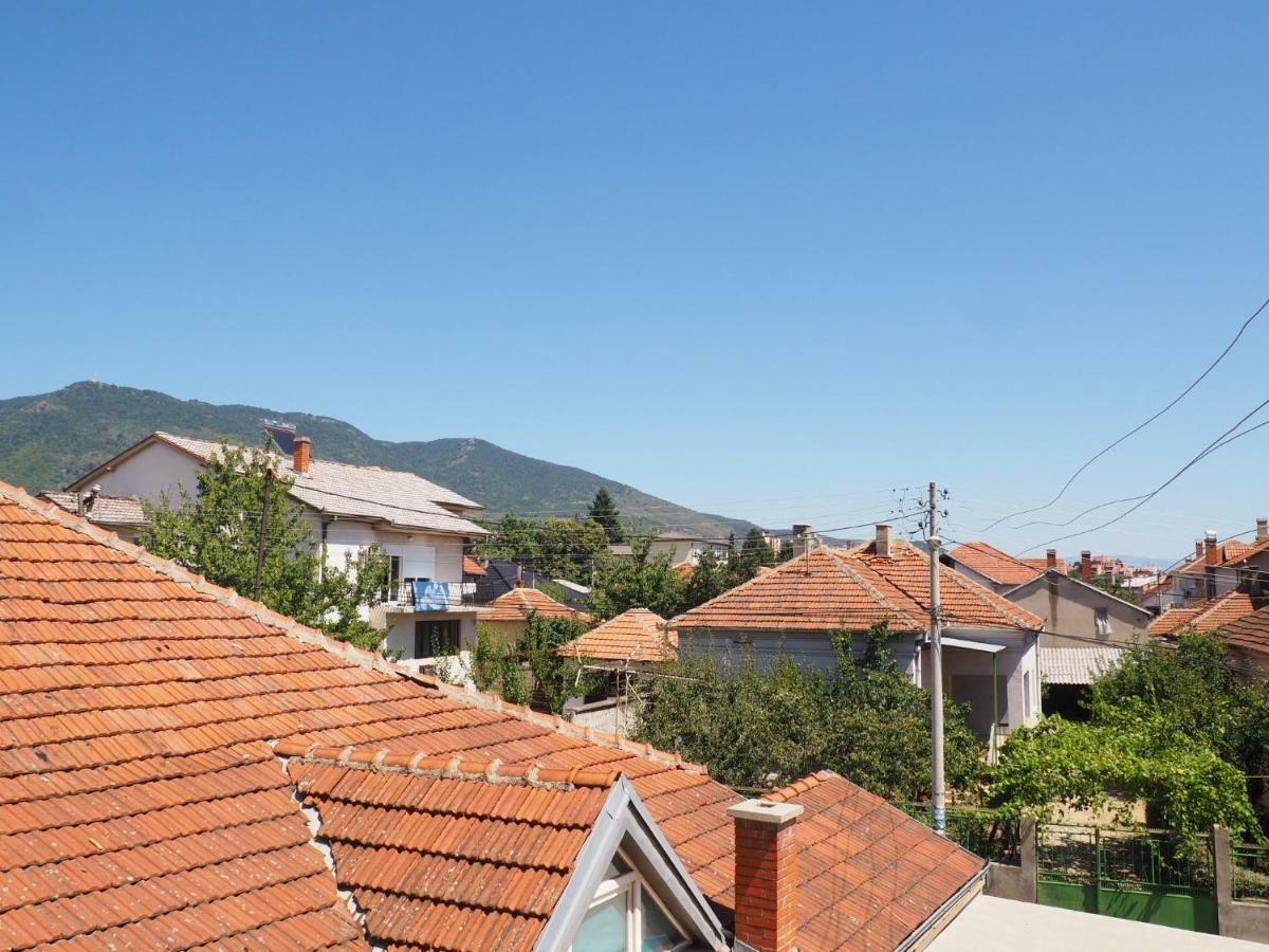 Guest House Stefanovic ヴラニェ エクステリア 写真